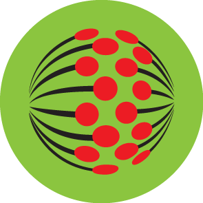 jhc-group.com – Agency & Representative jhc-group.com - Agency & Representative